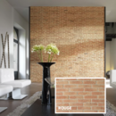 PAREMENT BRIQUE ROUGE 22x5CM PIERRE RECONSTITUEE +/- 0.5M² EP 1.5 CM